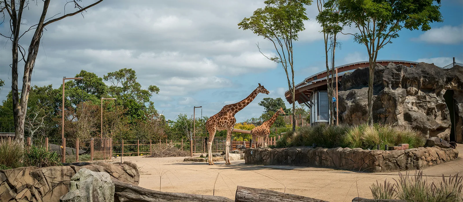 Chestatee Wildlife Preserve & Zoo — Zoo